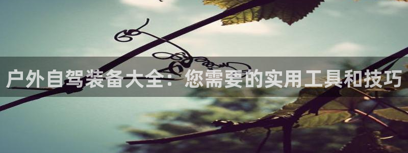 新宝GG—创造奇迹