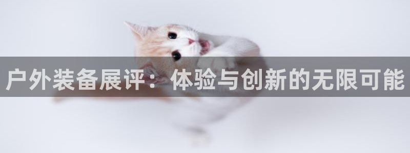 新宝gg娱乐
