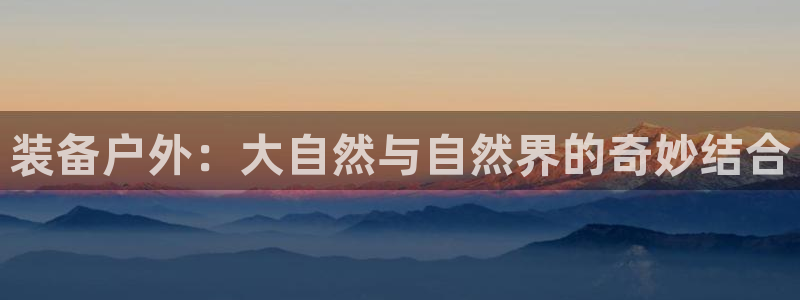 新宝gg资料