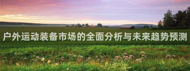 新宝gg样