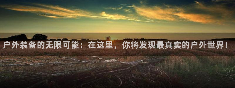新宝gg登录注册