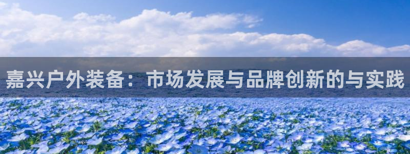 新宝gg开好