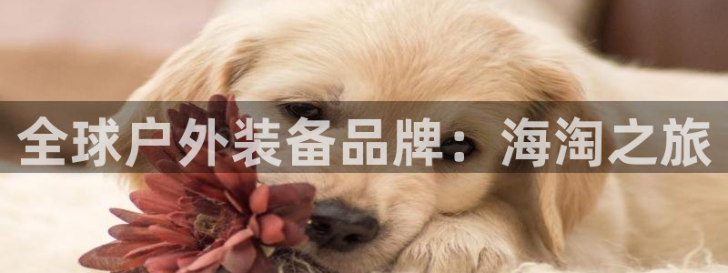 新宝gg 平台怎么样