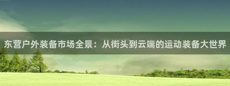 新宝gg代理