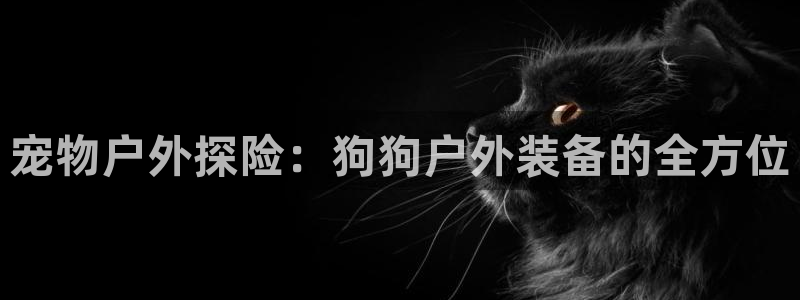 新宝gg登录平台