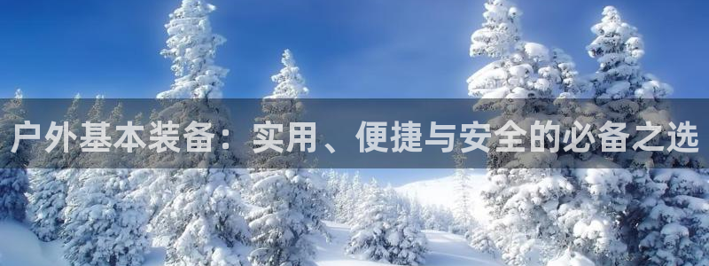 正版新宝gg