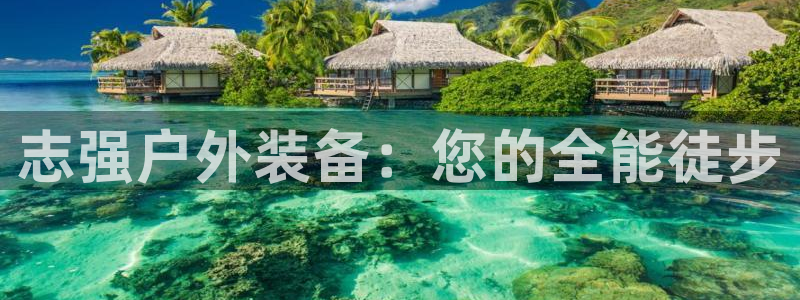 新宝gg账号