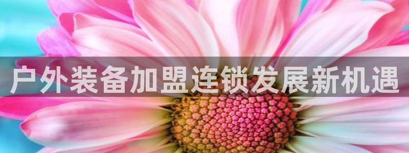 新宝gg辅助