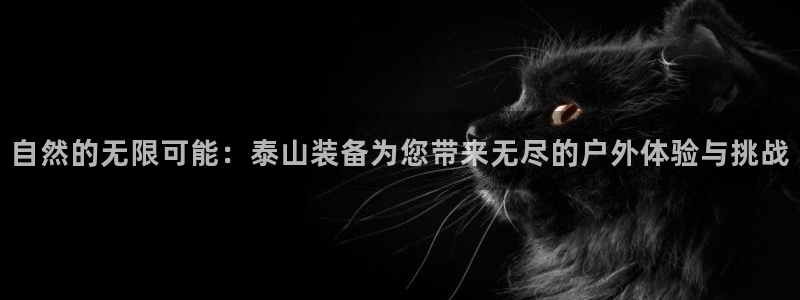 新宝gg娱乐