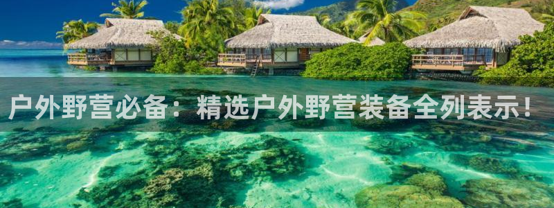 新宝gg直属上级