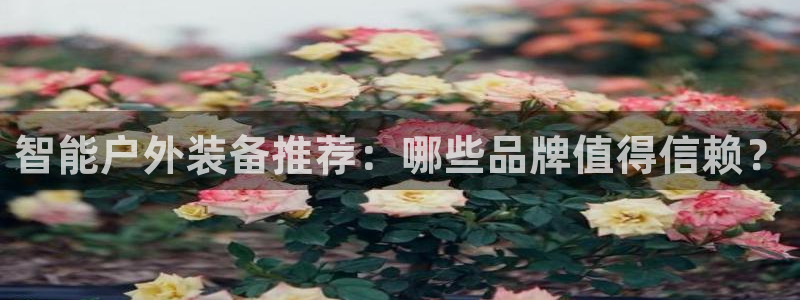 新宝gg招商89188