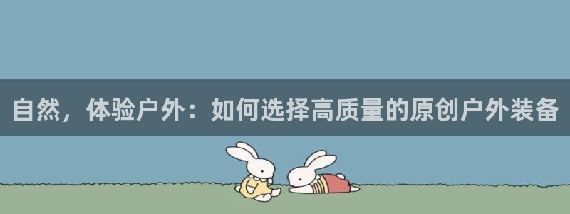 新宝gg 内部 8