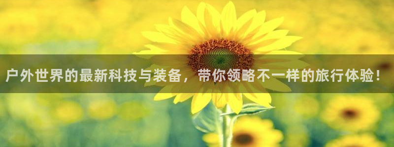 新宝GG电话