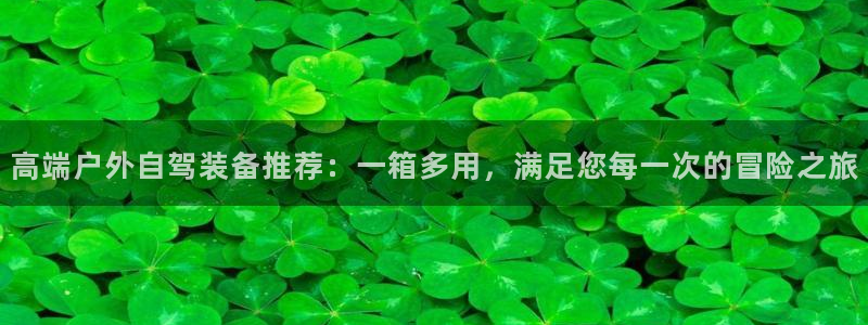 新宝gg平