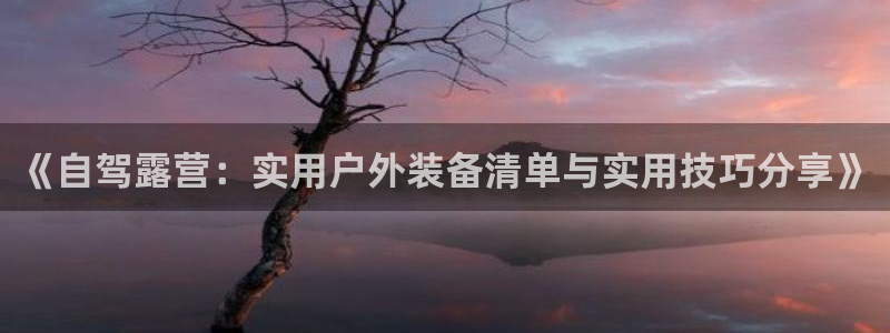 新宝gg娱乐怎么样