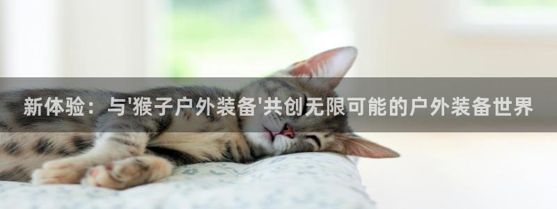 新宝gg主管111