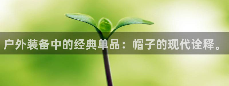 新宝gg注册网站