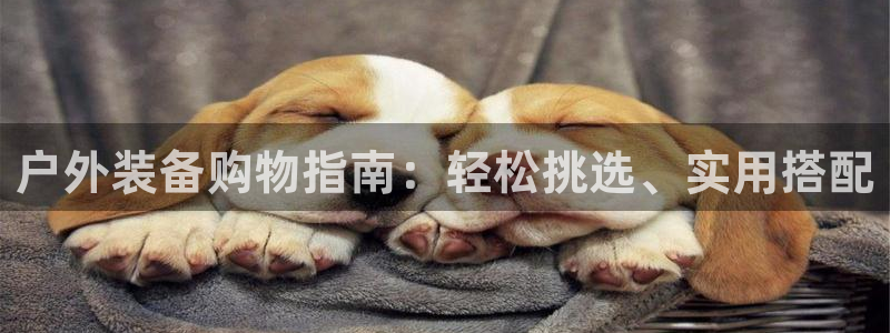 新宝太阳gg