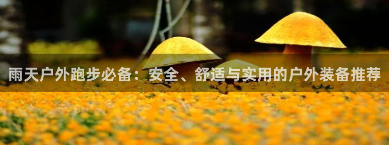 新宝gg登陆新