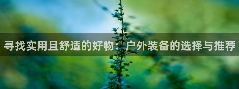新宝gg主管weibo