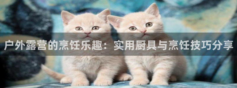 新宝gg推荐