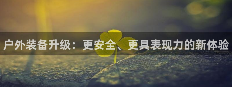 新宝gg平