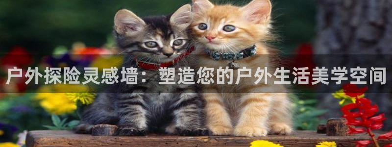 新宝gg是在境外吗