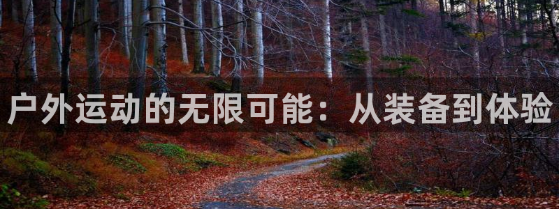 vip新宝gg
