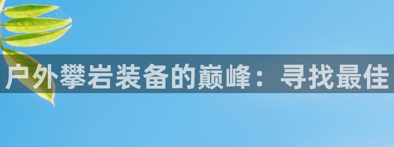 新宝gg ios下载