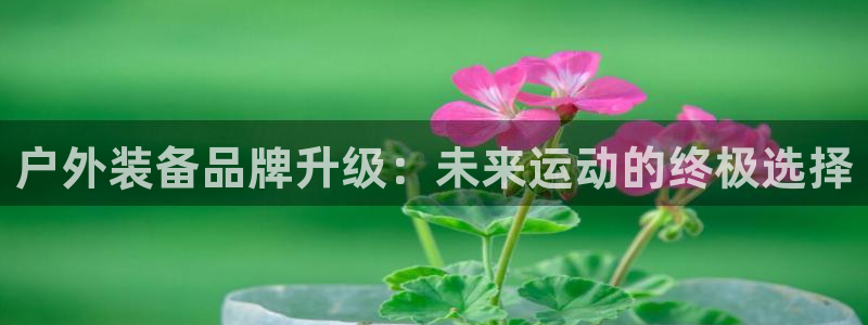 新宝gg主管 9