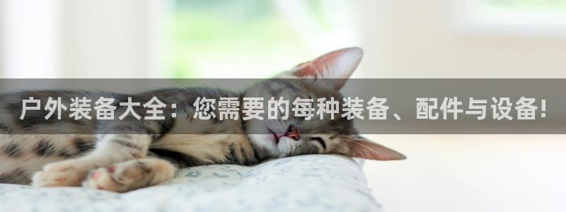 娱乐世界新宝gg