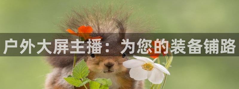新宝娱乐gg