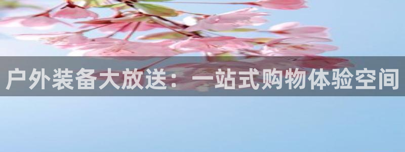 新宝GG 扣.772332