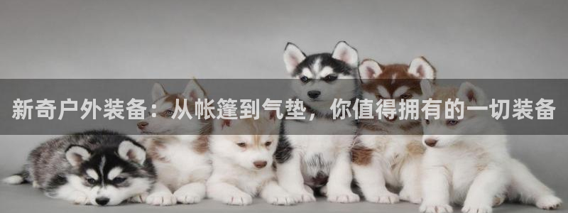 新宝gg辅助