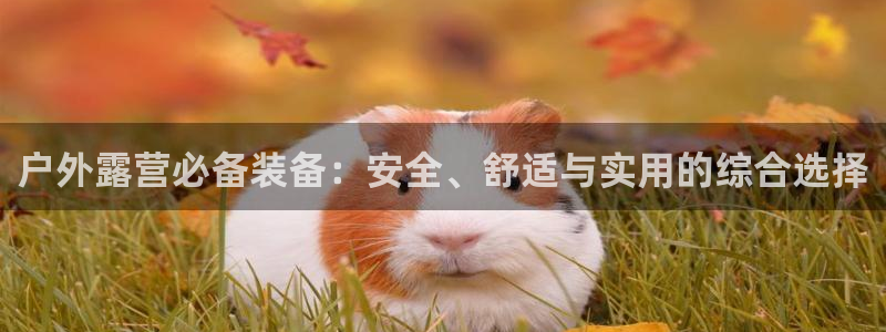 新宝gg娱乐平台
