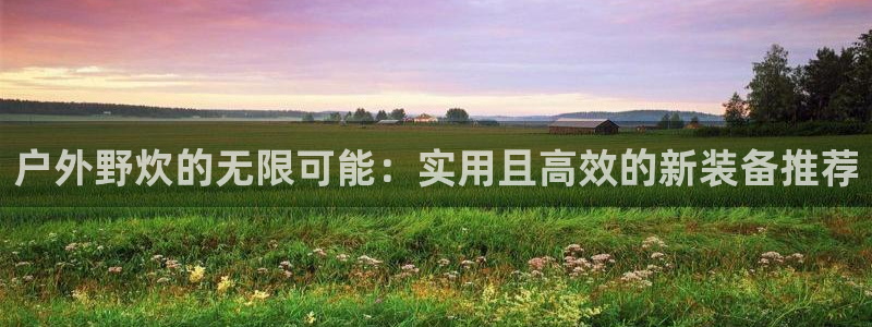 新宝gg官网