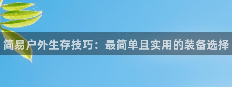 新宝gg 创造奇迹
