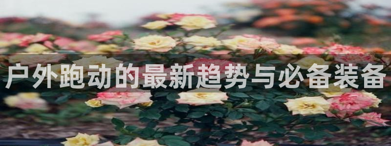 新宝gg画