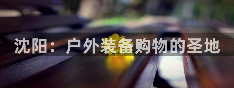 新宝gg辅助