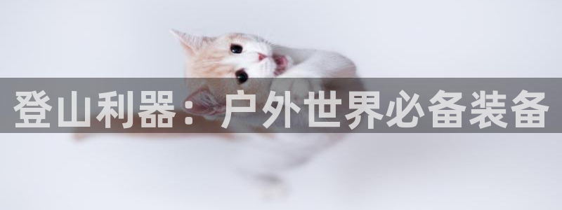 新宝gg手机