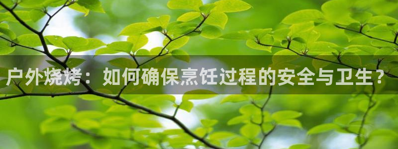 新宝 gg 总代理