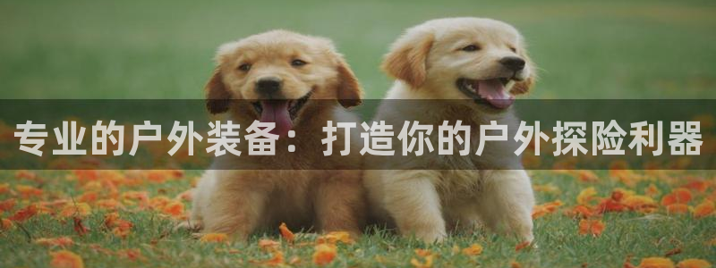 新宝GG之家