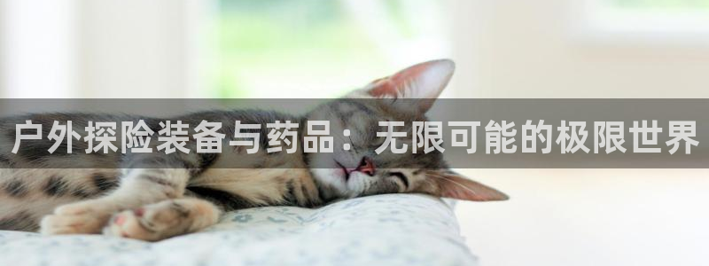 收新宝gg