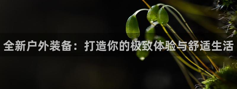 新宝娱gg