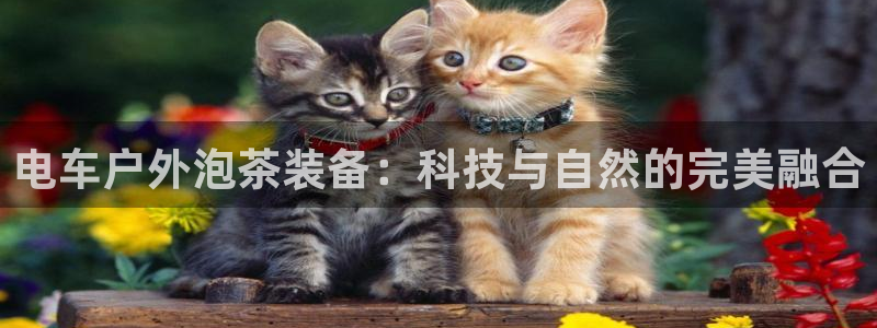 新宝gg手机注册官网