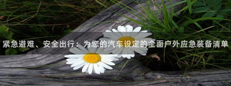 新宝GG手机客户端