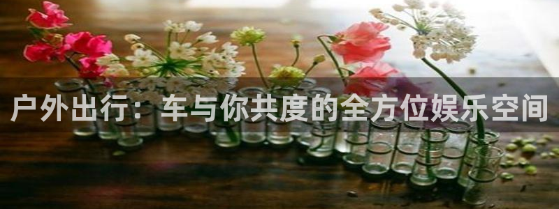 新宝GG都有哪些计划