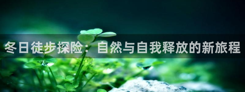 创造奇迹新宝gg