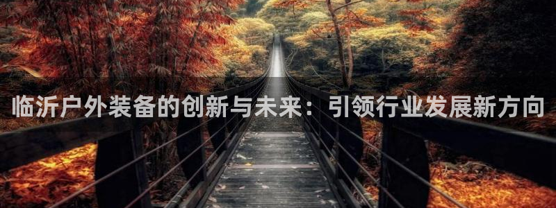新宝gg下载官网下载
