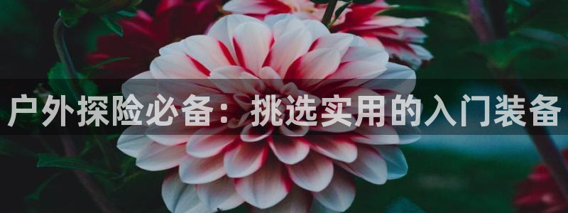 新宝GG 扣.772332